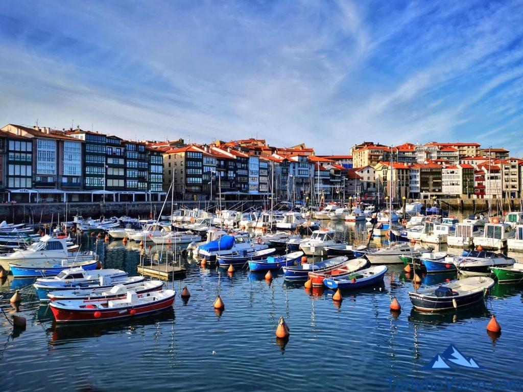 Coqueto Apartamento En El Casco Viejo ليكيتيو المظهر الخارجي الصورة